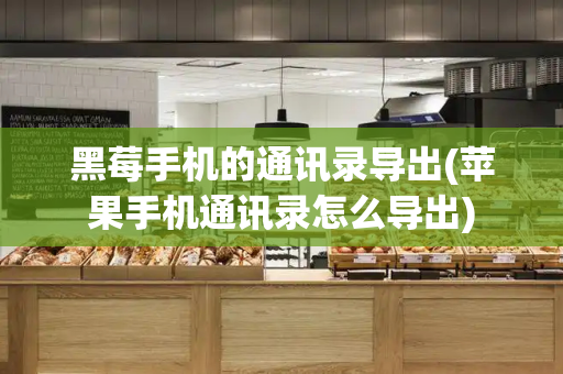 黑莓手机的通讯录导出(苹果手机通讯录怎么导出)-第1张图片-星选测评