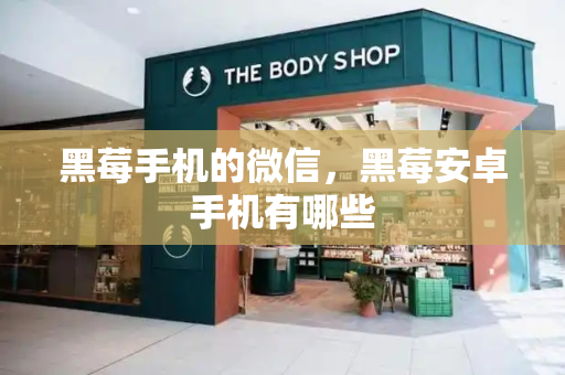 黑莓手机的微信，黑莓安卓手机有哪些-第1张图片-星选测评