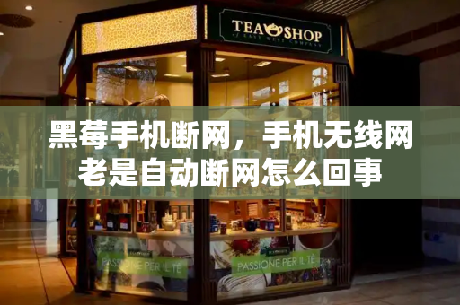 黑莓手机断网，手机无线网老是自动断网怎么回事