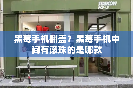 黑莓手机翻盖？黑莓手机中间有滚珠的是哪款