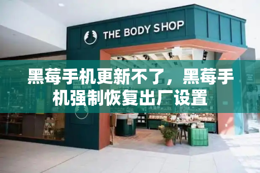 黑莓手机更新不了，黑莓手机强制恢复出厂设置