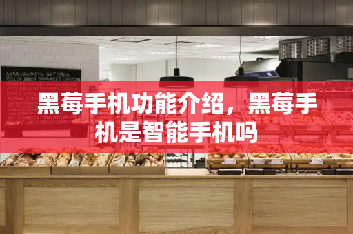 黑莓手机功能介绍，黑莓手机是智能手机吗