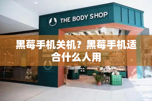 黑莓手机关机？黑莓手机适合什么人用-第1张图片-星选测评