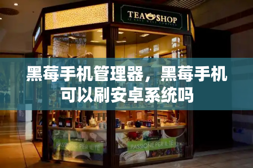 黑莓手机管理器，黑莓手机可以刷安卓系统吗