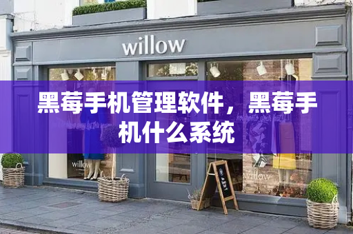 黑莓手机管理软件，黑莓手机什么系统