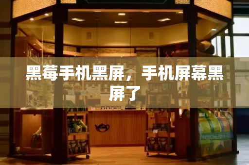 黑莓手机黑屏，手机屏幕黑屏了-第1张图片-星选测评