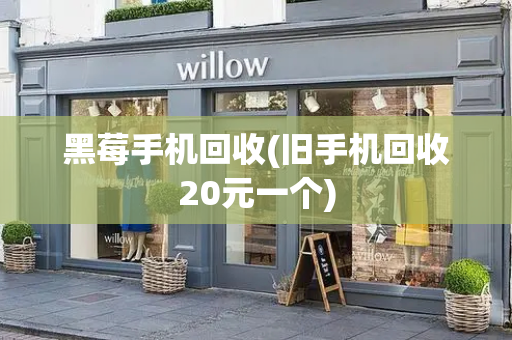 黑莓手机回收(旧手机回收20元一个)-第1张图片-星选测评