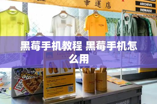 黑莓手机教程 黑莓手机怎么用