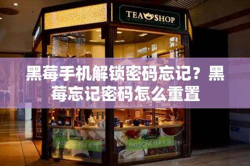 黑莓手机解锁密码忘记？黑莓忘记密码怎么重置-第1张图片-星选测评