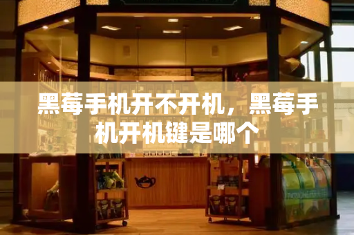 黑莓手机开不开机，黑莓手机开机键是哪个-第1张图片-星选测评