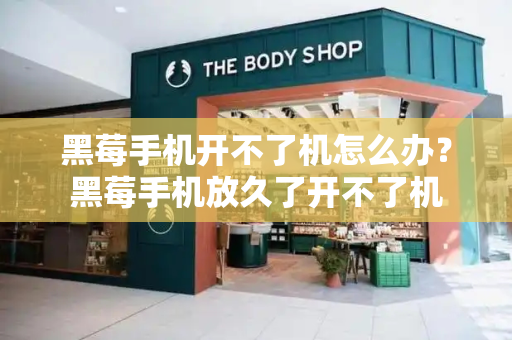 黑莓手机开不了机怎么办？黑莓手机放久了开不了机-第1张图片-星选测评
