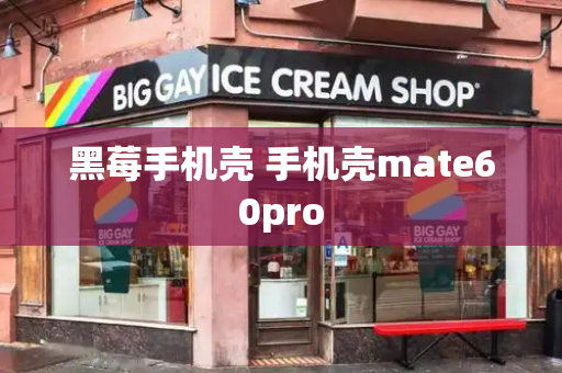 黑莓手机壳 手机壳mate60pro-第1张图片-星选测评