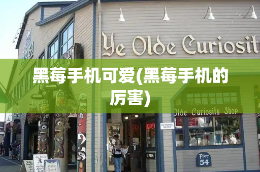 黑莓手机可爱(黑莓手机的厉害)