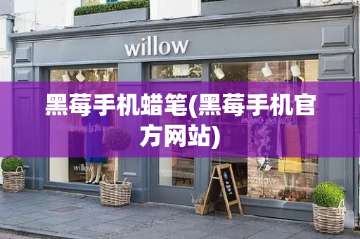 黑莓手机蜡笔(黑莓手机官方网站)-第1张图片-星选测评