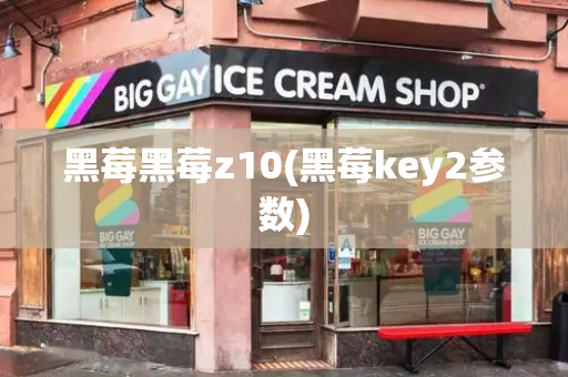 黑莓黑莓z10(黑莓key2参数)-第1张图片-星选测评