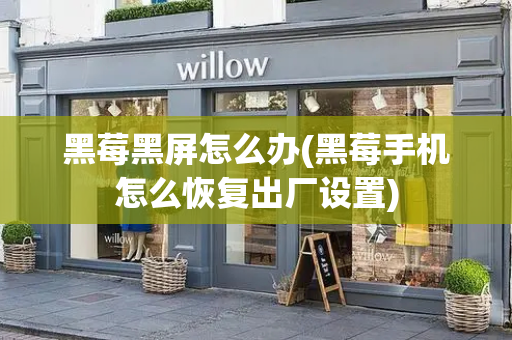 黑莓黑屏怎么办(黑莓手机怎么恢复出厂设置)