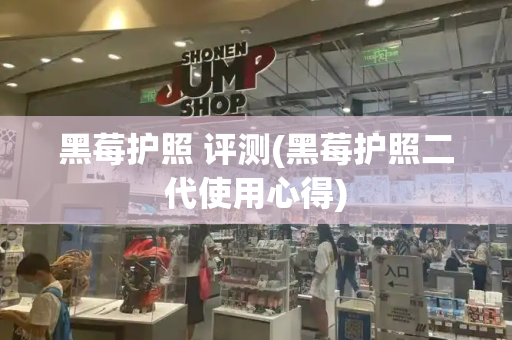 黑莓护照 评测(黑莓护照二代使用心得)