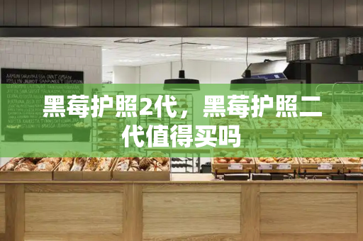黑莓护照2代，黑莓护照二代值得买吗