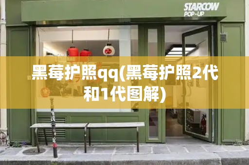 黑莓护照qq(黑莓护照2代和1代图解)