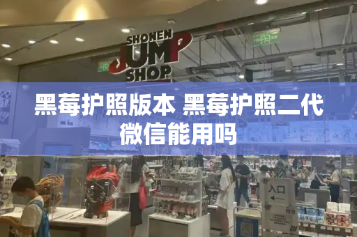 黑莓护照版本 黑莓护照二代微信能用吗