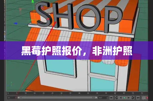 黑莓护照报价，非洲护照