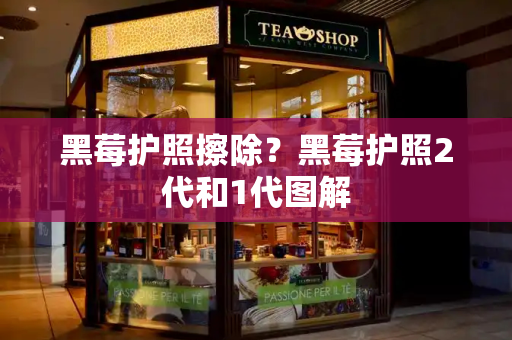黑莓护照擦除？黑莓护照2代和1代图解-第1张图片-星选测评