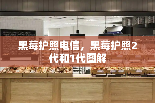 黑莓护照电信，黑莓护照2代和1代图解