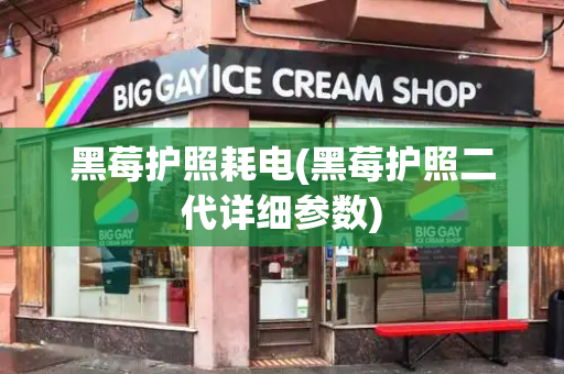 黑莓护照耗电(黑莓护照二代详细参数)