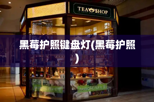 黑莓护照键盘灯(黑莓护照)