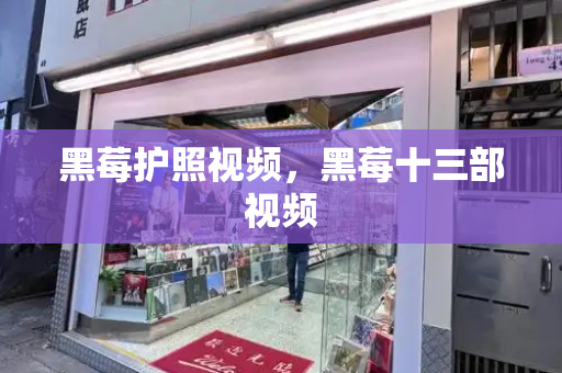 黑莓护照视频，黑莓十三部视频