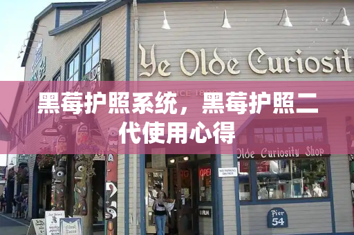 黑莓护照系统，黑莓护照二代使用心得-第1张图片-星选测评