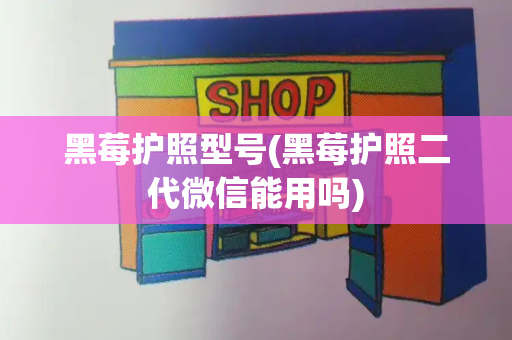 黑莓护照型号(黑莓护照二代微信能用吗)