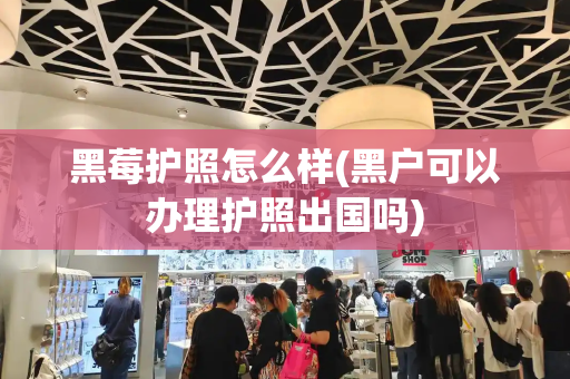 黑莓护照怎么样(黑户可以办理护照出国吗)-第1张图片-星选测评