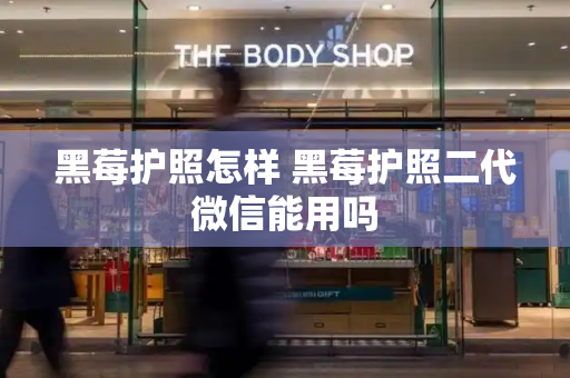黑莓护照怎样 黑莓护照二代微信能用吗-第1张图片-星选测评