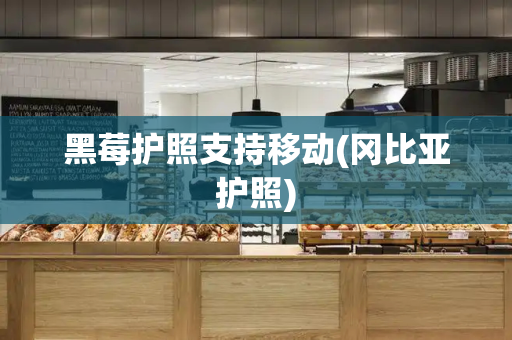 黑莓护照支持移动(冈比亚护照)
