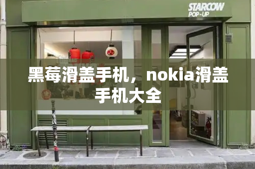 黑莓滑盖手机，nokia滑盖手机大全