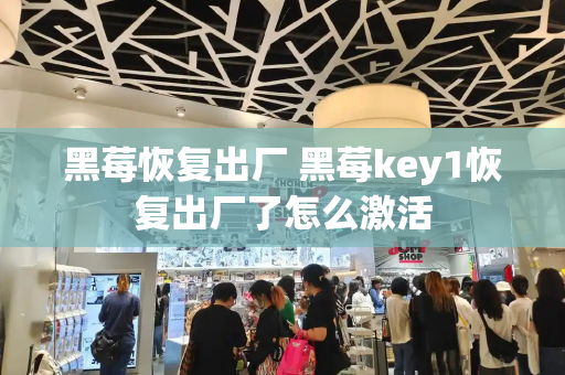 黑莓恢复出厂 黑莓key1恢复出厂了怎么激活-第1张图片-星选测评