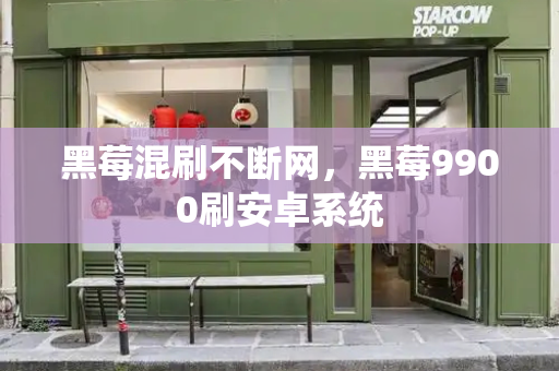 黑莓混刷不断网，黑莓9900刷安卓系统-第1张图片-星选测评