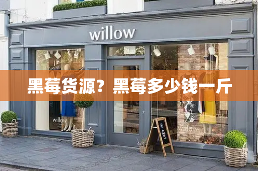 黑莓货源？黑莓多少钱一斤