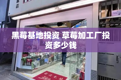 黑莓基地投资 草莓加工厂投资多少钱-第1张图片-星选测评