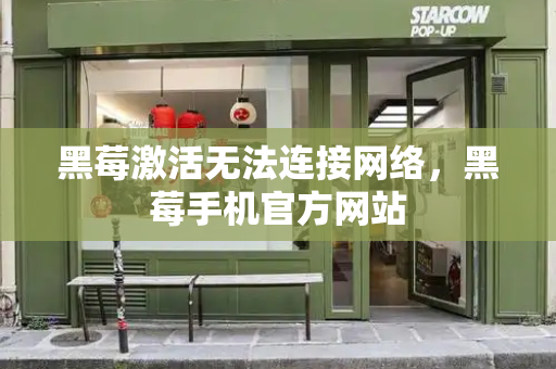 黑莓激活无法连接网络，黑莓手机官方网站-第1张图片-星选测评