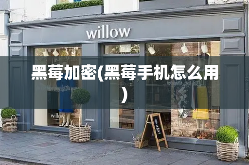 黑莓加密(黑莓手机怎么用)