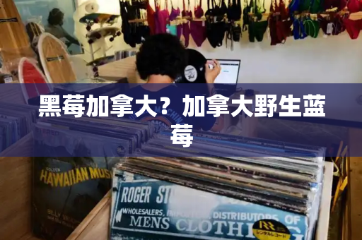 黑莓加拿大？加拿大野生蓝莓
