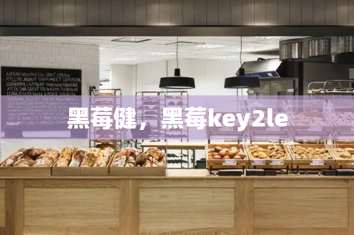 黑莓健，黑莓key2le-第1张图片-星选测评