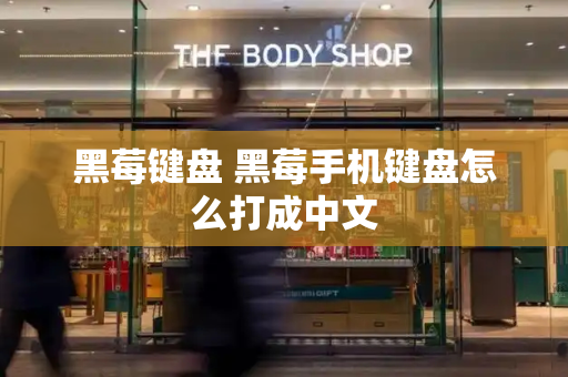 黑莓键盘 黑莓手机键盘怎么打成中文