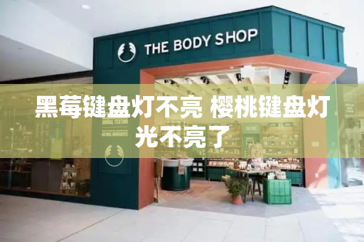 黑莓键盘灯不亮 樱桃键盘灯光不亮了-第1张图片-星选测评