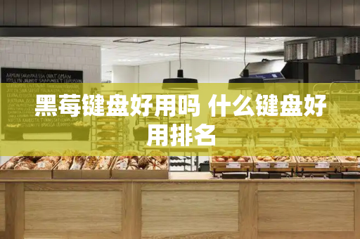 黑莓键盘好用吗 什么键盘好用排名-第1张图片-星选测评