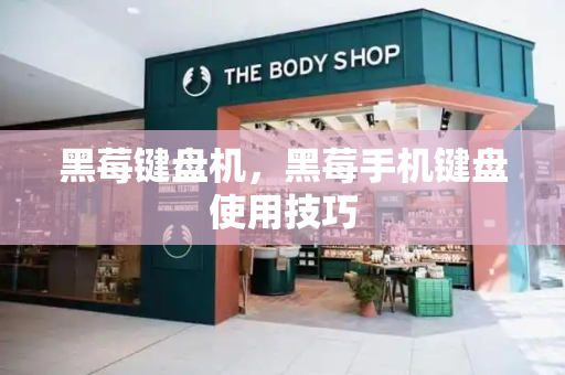 黑莓键盘机，黑莓手机键盘使用技巧-第1张图片-星选测评