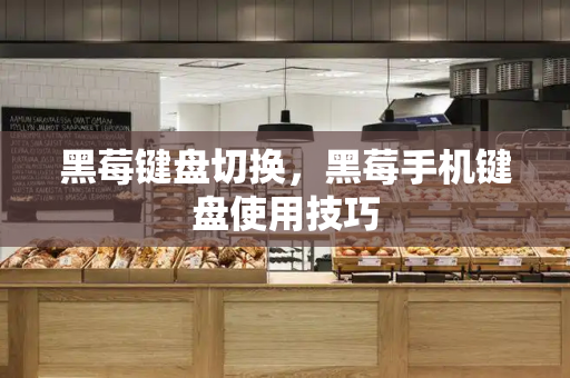 黑莓键盘切换，黑莓手机键盘使用技巧