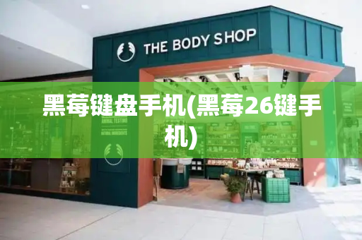 黑莓键盘手机(黑莓26键手机)-第1张图片-星选测评